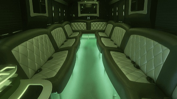 everett 25 passenger party bus rental